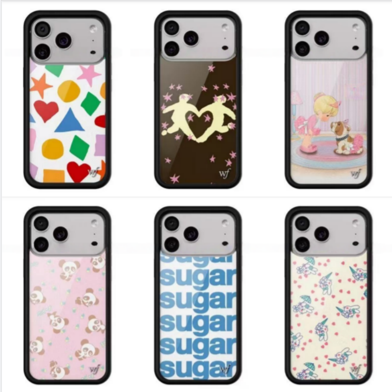 Phone Cases Wildflower - Wildflower Ins Paar-Soulmate-Handyhülle für iPhone 17
